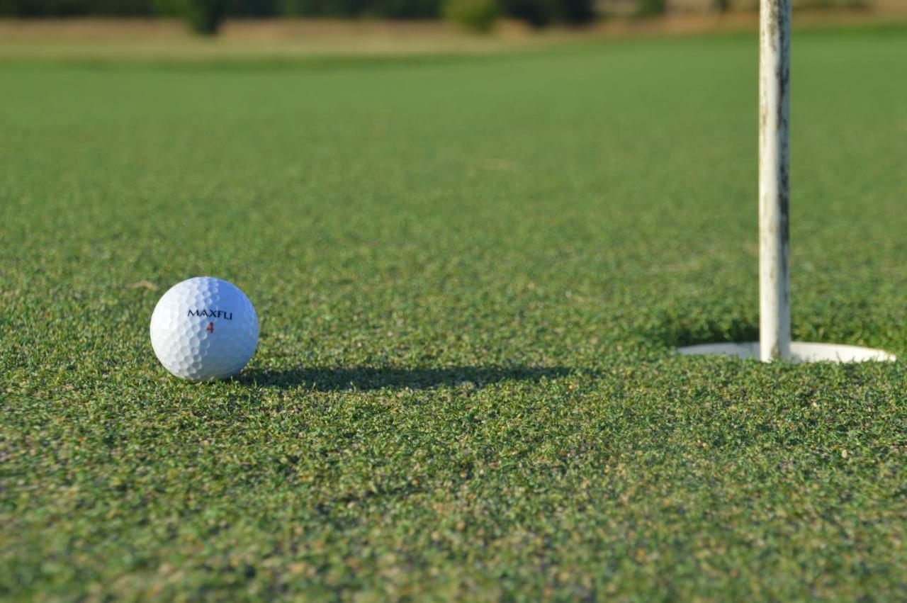 Cottages Du Golf Fleuray-Amboise 坎格雷 外观 照片